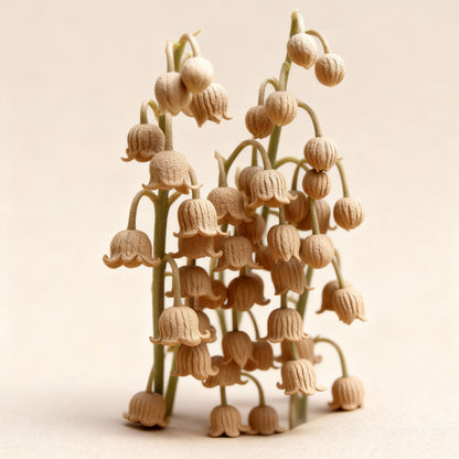 Pink Lily of the Valley Seeds for Planting