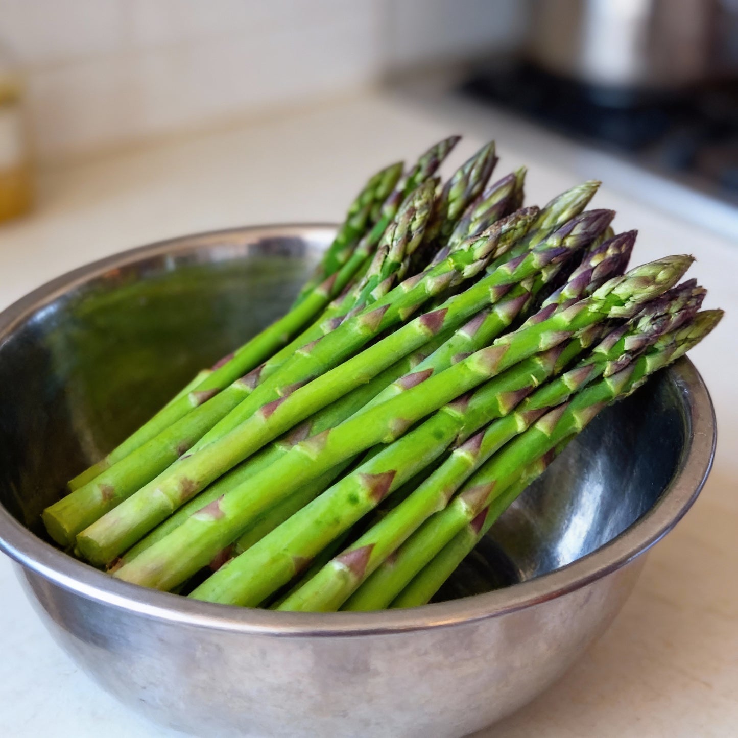 Asparagus Connover’s Colossal Seeds for Planting