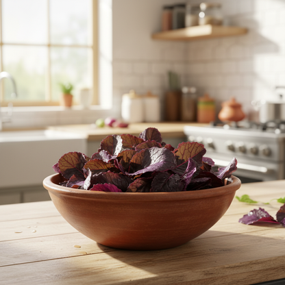 Osaka Purple Mustard Seeds