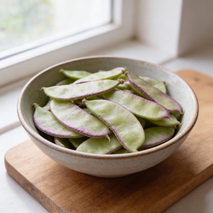 Dolichos Red Broad Seeds Premium Quality for Planting and Decorative Vines