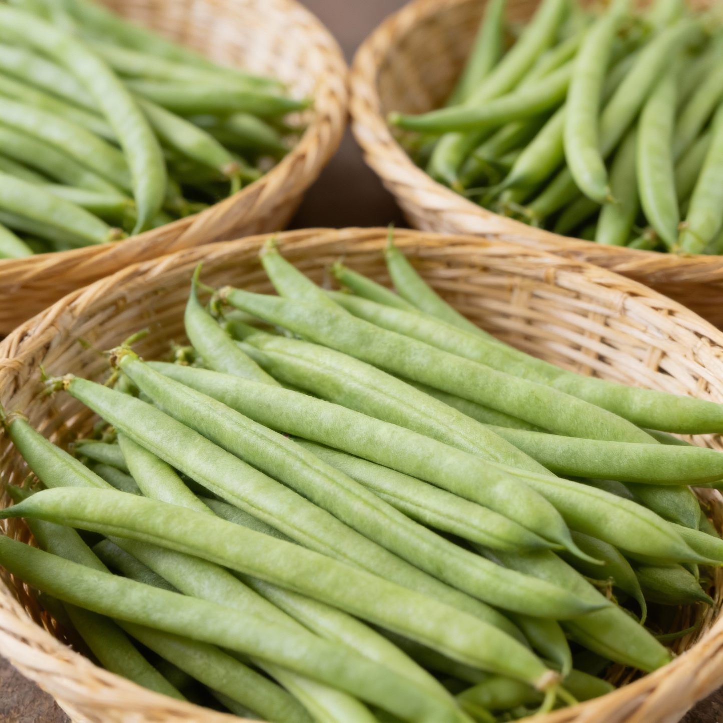 Climbing French Beans Seeds for Planting – Heirloom Variety