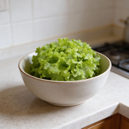 Tripoli Lettuce Seeds for Planting