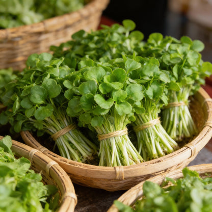 Lambs Lettuce Verte De Cambrai Seeds for Planting – Salad Green Seeds
