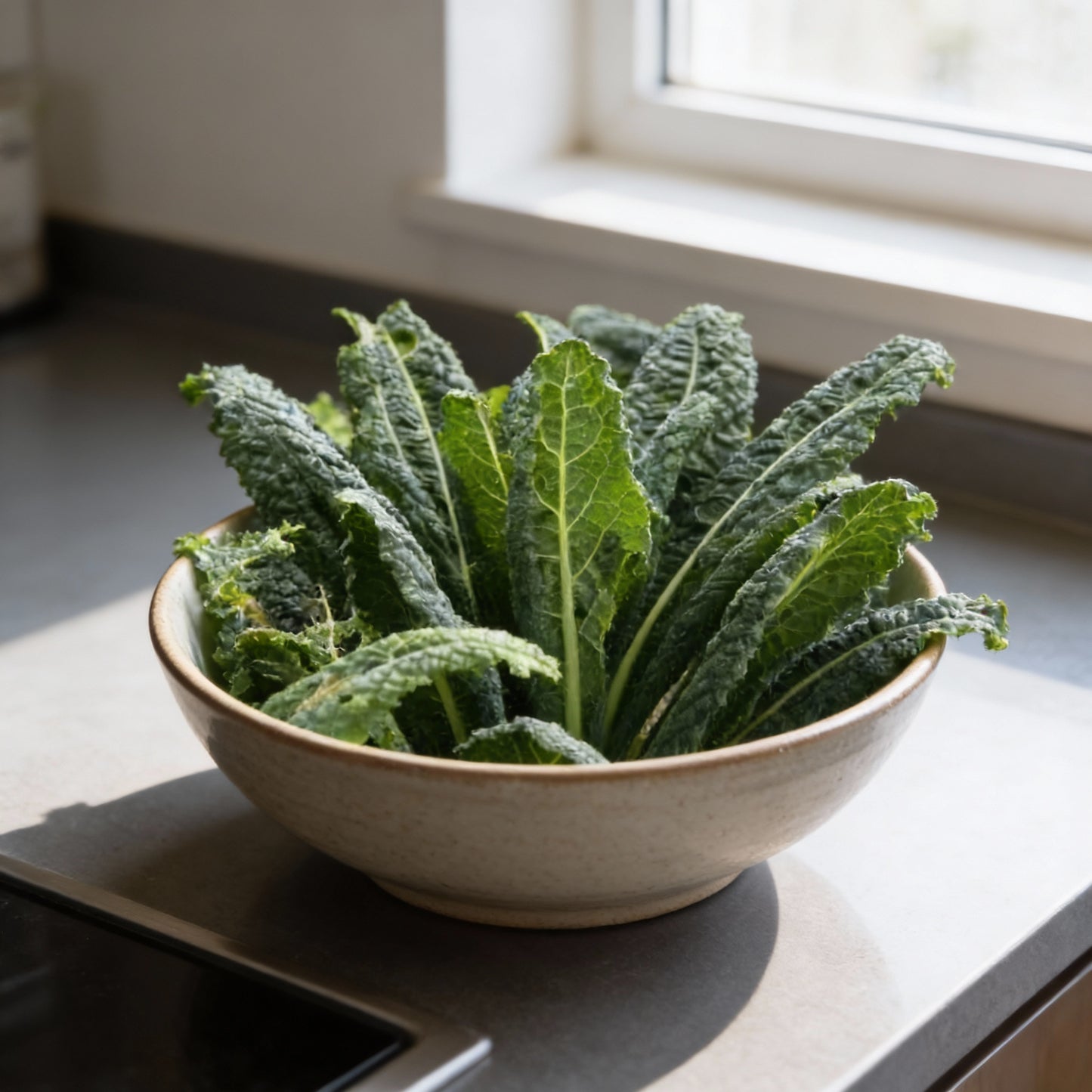 Kale Black Toscana Vegetable Seeds for Planting
