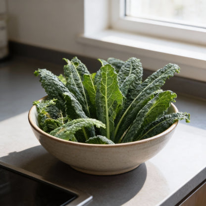 Kale Black Toscana Vegetable Seeds for Planting