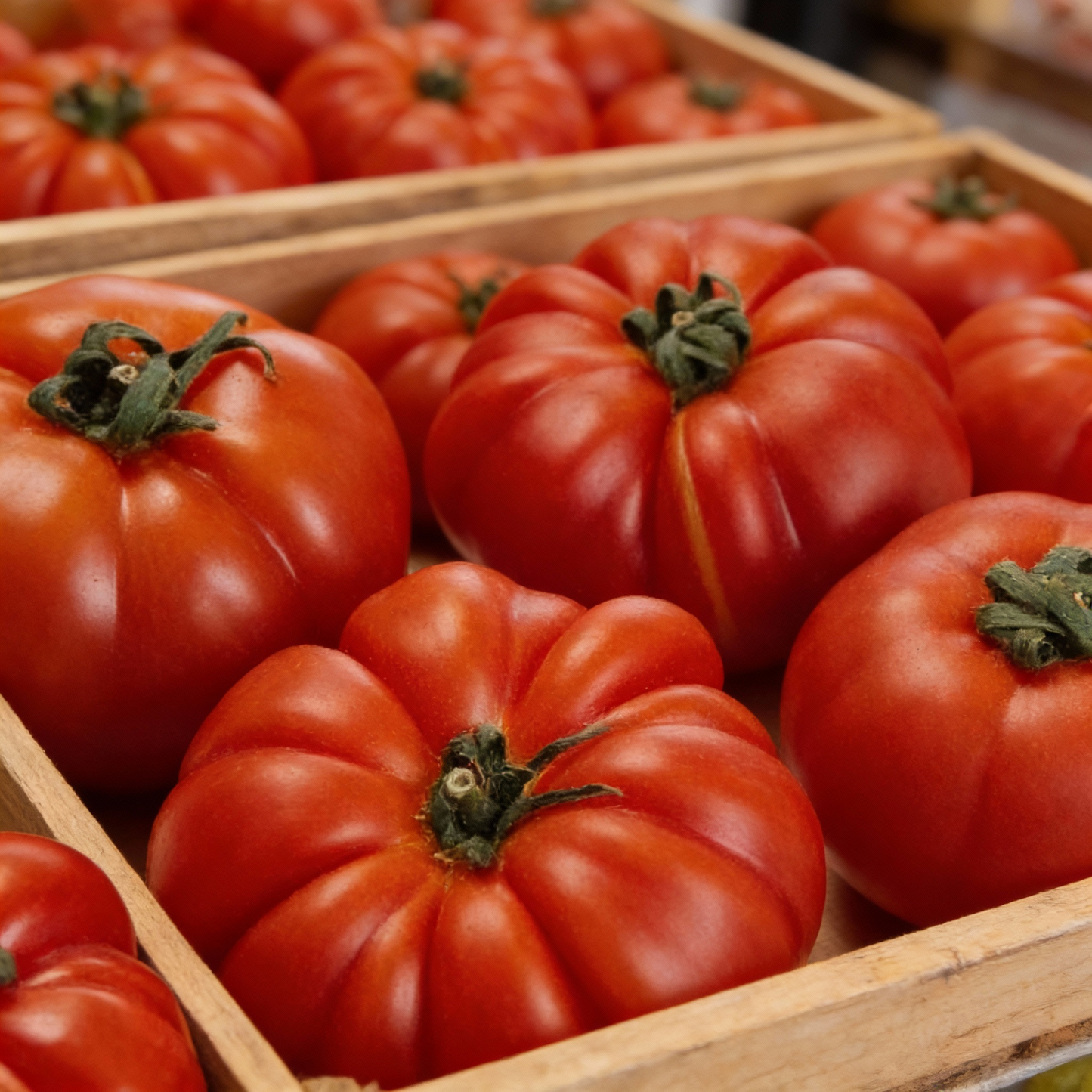 Marmande Tomato Seeds for Planting – Large Tomatoes for Your Garden