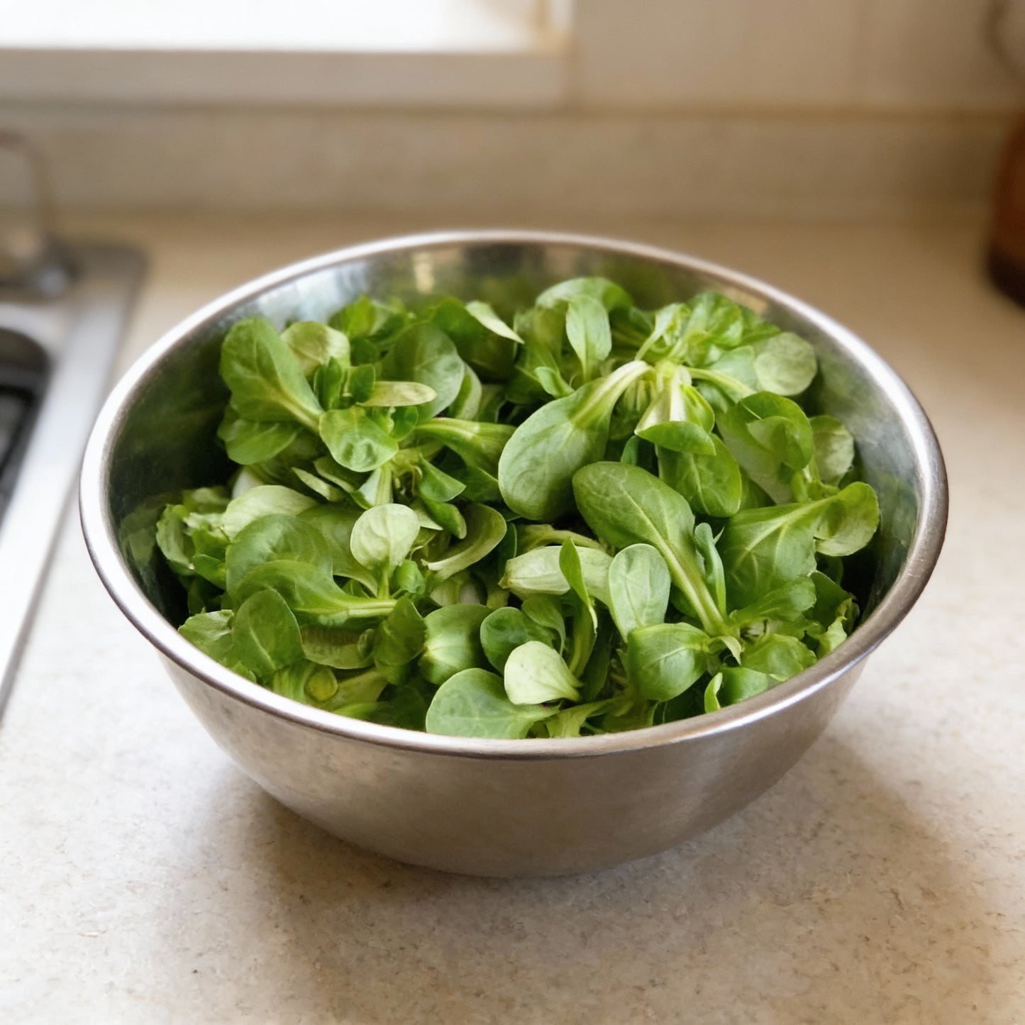 Corn Salad Verte De Cambrai Seeds for Planting