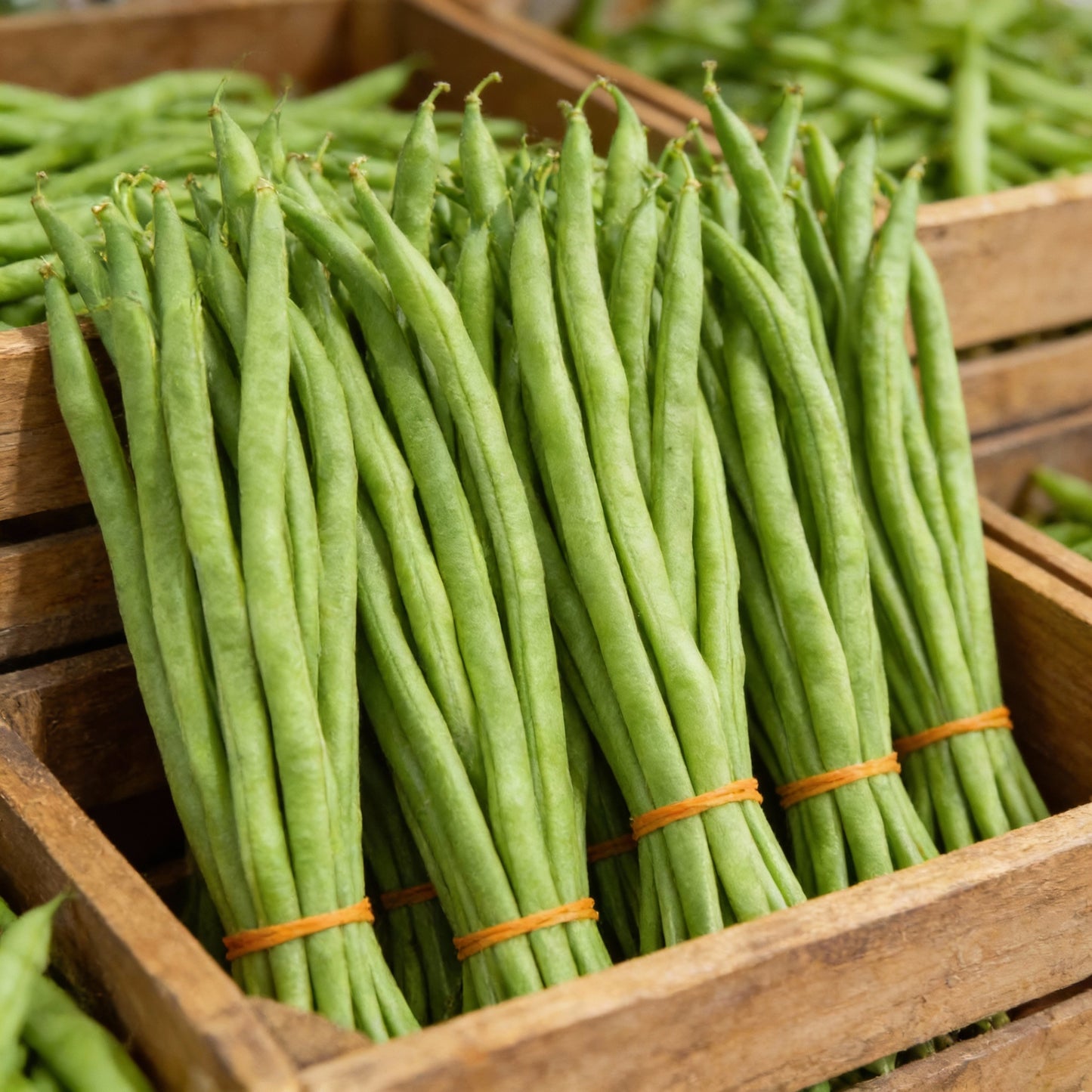 Green Beans Vegetable Seeds Fresh Garden Variety