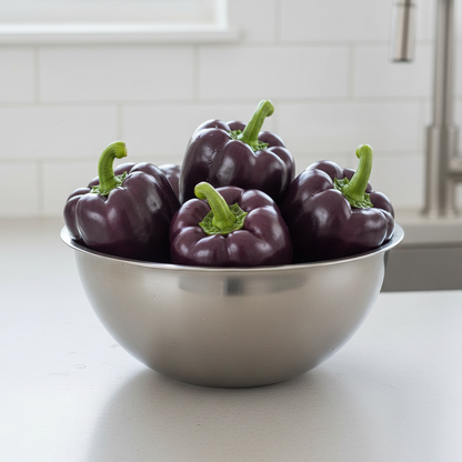 Capsicum Purple Vegetable Seeds for Planting
