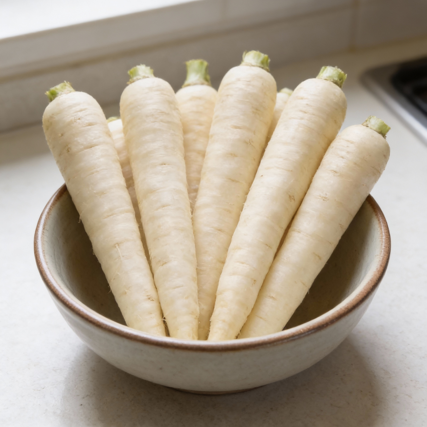 Hamburg Parsley Vegetable Seeds for Planting