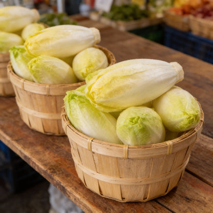 Chicory Brussels Witloof Seeds for Planting – Heirloom Non GMO Vegetable Seeds for Home Gardening