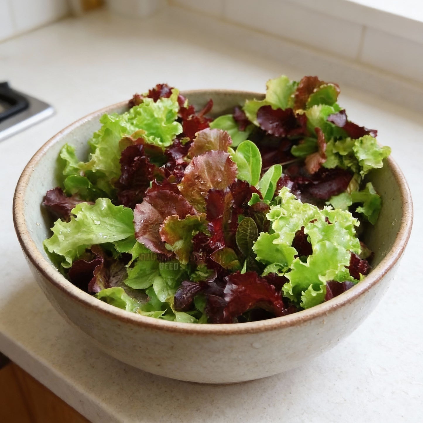 Lettuce Mixed Baby Leaf Vegetable Seeds for Planting