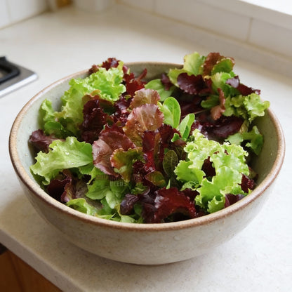 Lettuce Mixed Baby Leaf Vegetable Seeds for Planting