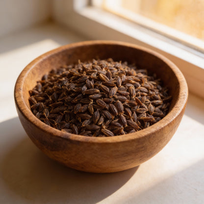 Townsendia Parryi Flower Seeds for Garden Planting