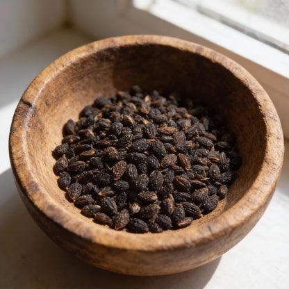 Sambucus Nigra Elderberry Seeds for Garden Planting