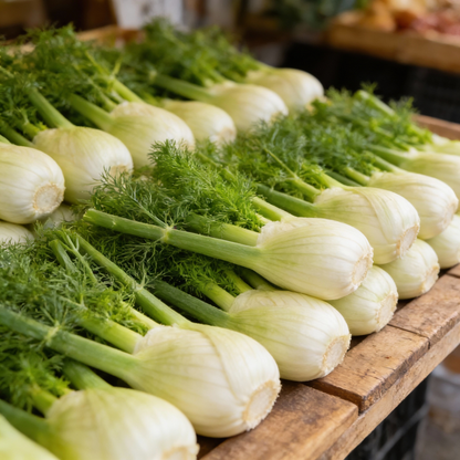 Fennel Romanesco Seeds for Planting - Premium Gardening Seeds