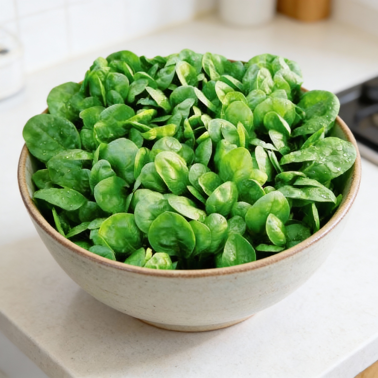Corvair Spinach Seeds - Spinach Seeds for Home Garden