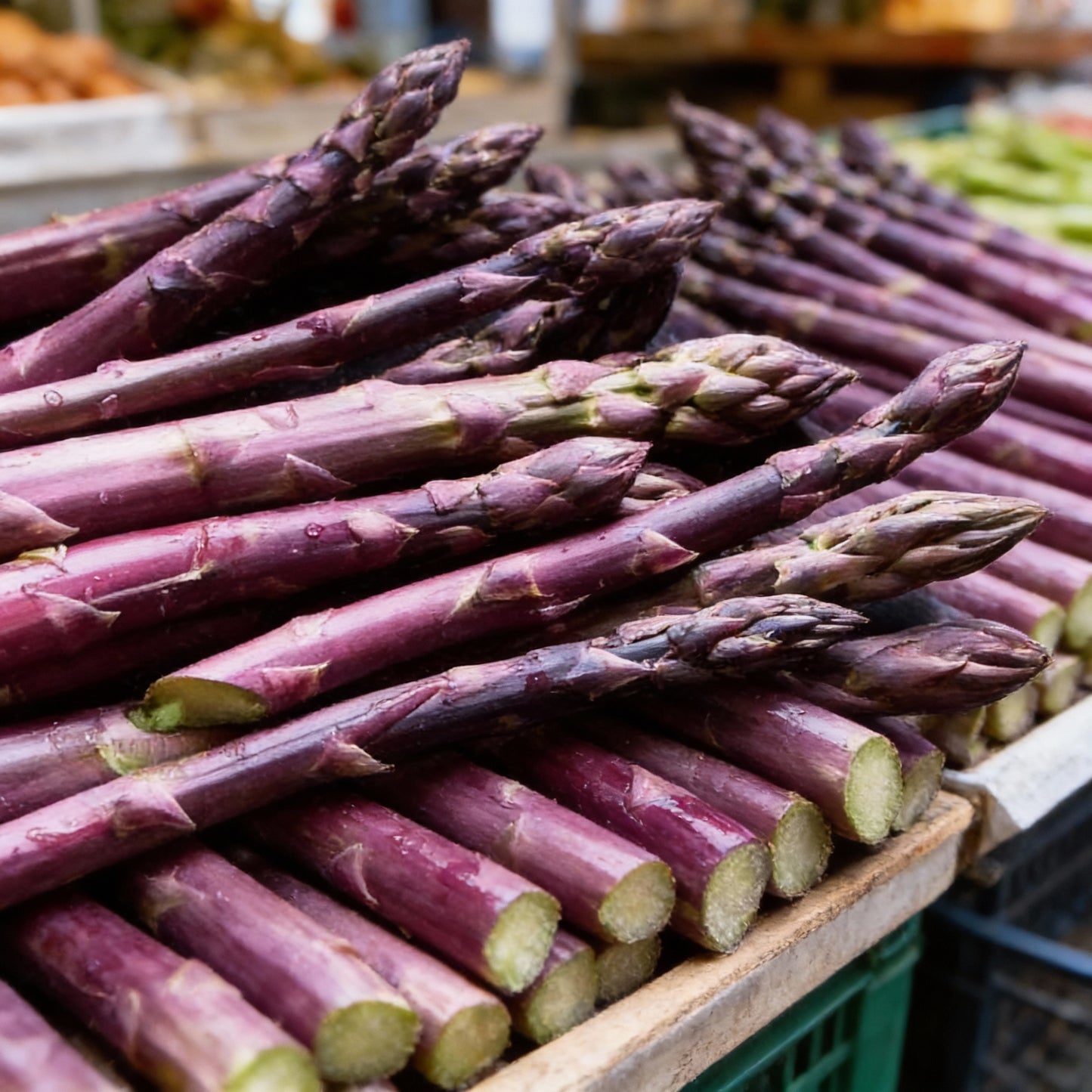 Purple Asparagus Seeds for Planting – Vegetable Seeds for Gardening