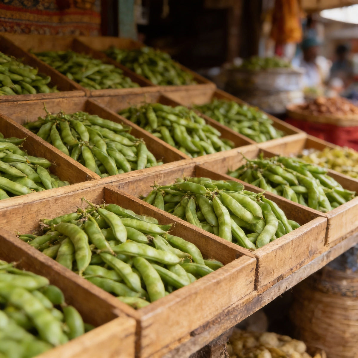 organic-bean-edamame-green-shell-seeds-for-planting-home-gardening