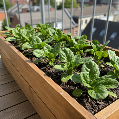 Seaside Spinach Seeds – Heat & Salt-Tolerant, Fast-Growing Greens