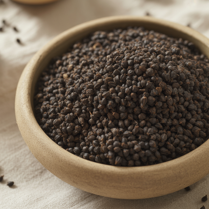 Sambucus Sachalinensis Seeds – Elderberry for Planting
