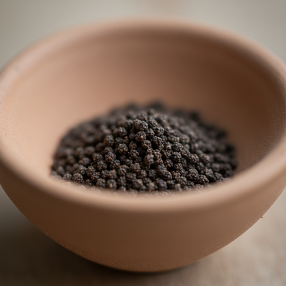 Antirrhinum White Admiral F1 Laevis Flowering Seeds