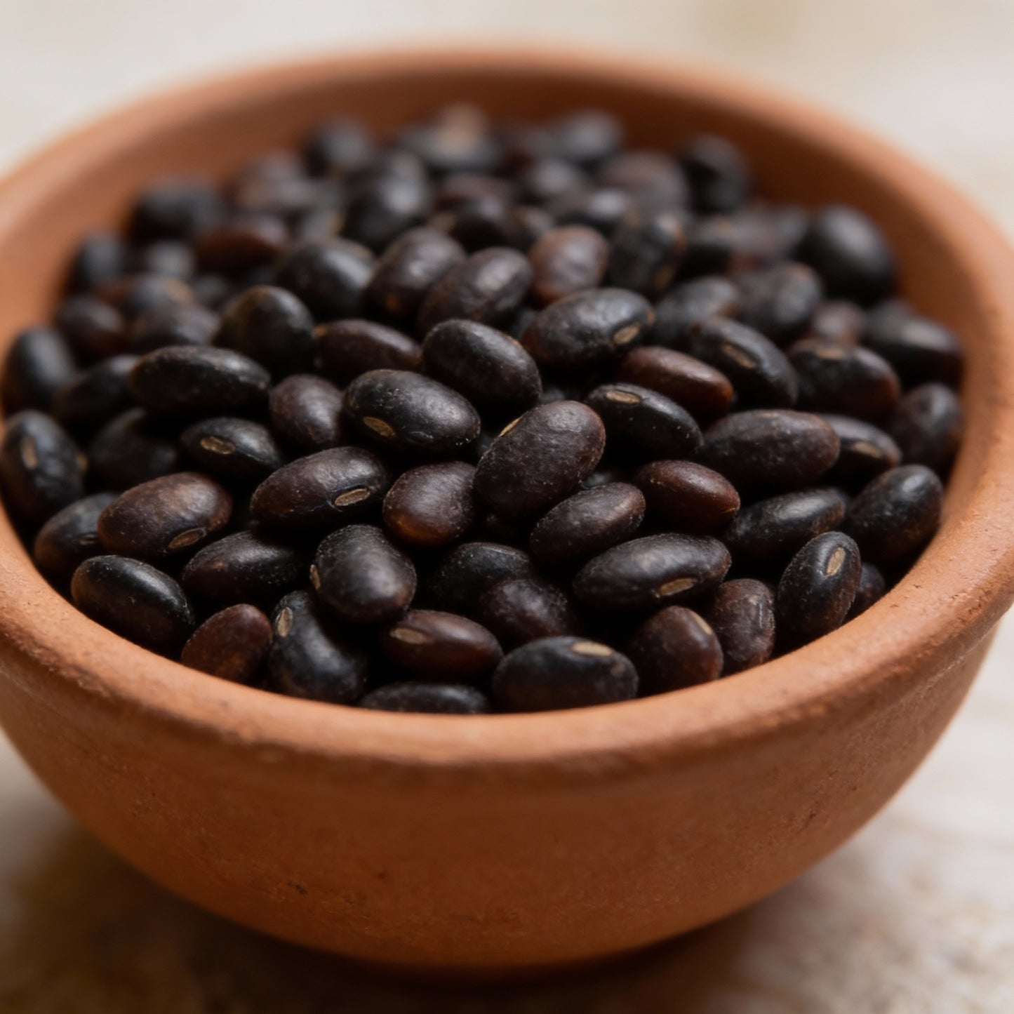 Missouri Wonder Pole Bean Seeds for Planting