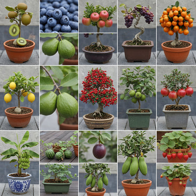 dwarf-fruit-seeds-for-planting-15-varieties-pack