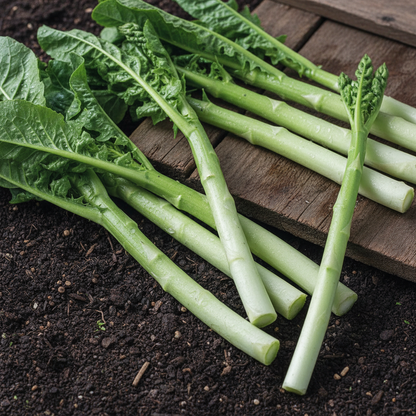 Asparagus Lettuce Seeds – Unique Leaf & Stem Variety for Gourmet Gardens