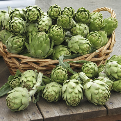 Artichoke Italian Green Globe Seeds for Planting – Gourmet Quality Rich Flavor for Your Garden