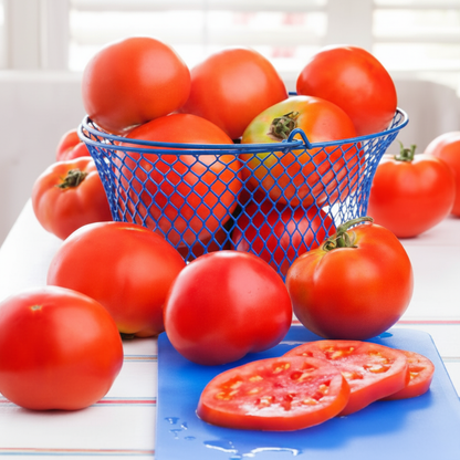 Celebrity Tomato Seeds – High-Yield Disease-Resistant Hybrid