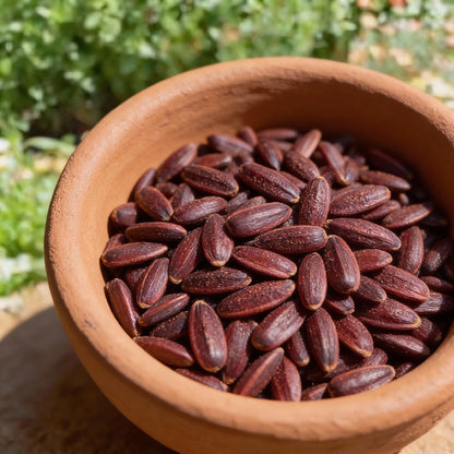 Burgundy with Black Center Sunflower Seeds for Garden Planting