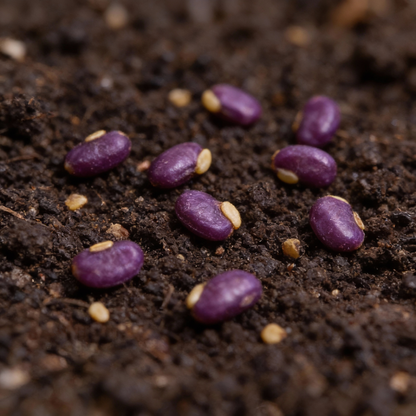 Pepper Jalapeño Purple Tiger Seeds