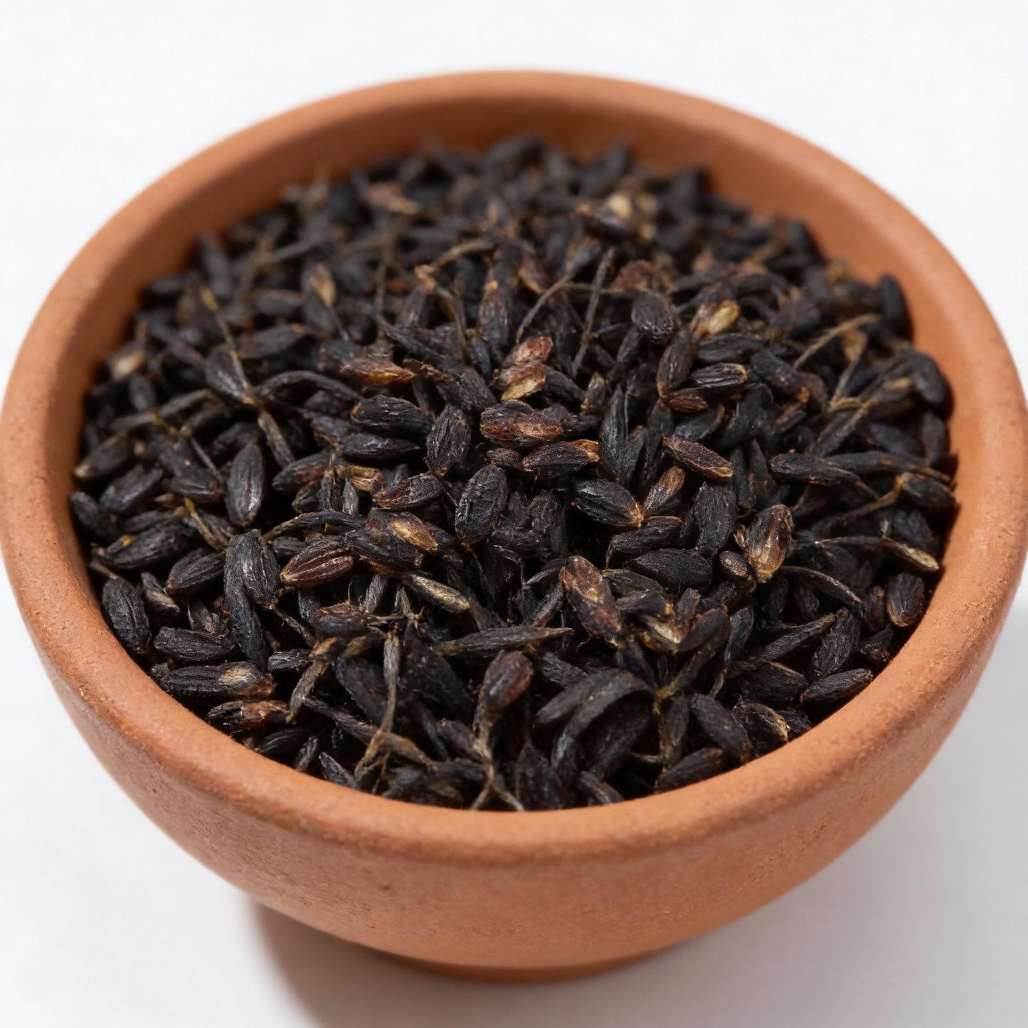 Mexican Tarragon Seeds for Garden Planting