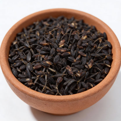 Mexican Tarragon Seeds for Garden Planting