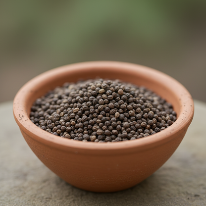 Pink Fuchsia Flower Seeds for Garden Planting