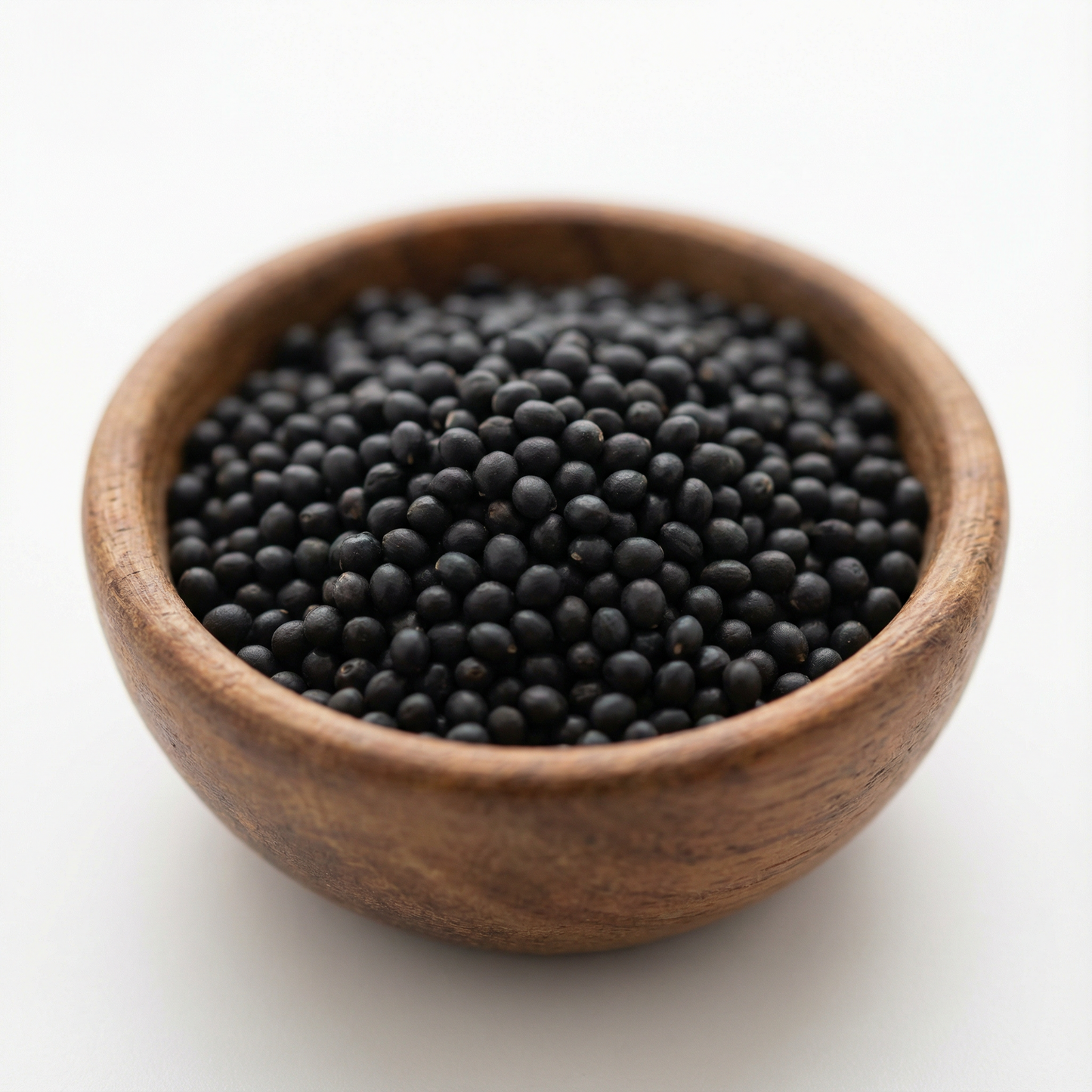 Celosia Plumosa (Pampus) Mixed Flower Seeds – Vibrant Long-Lasting Blooms