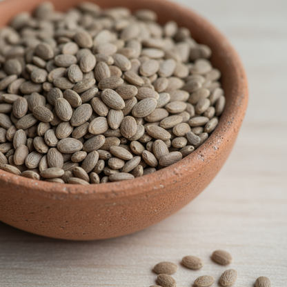 Snow in Summer White Flower Seeds – Elegant Ground Cover Blooms