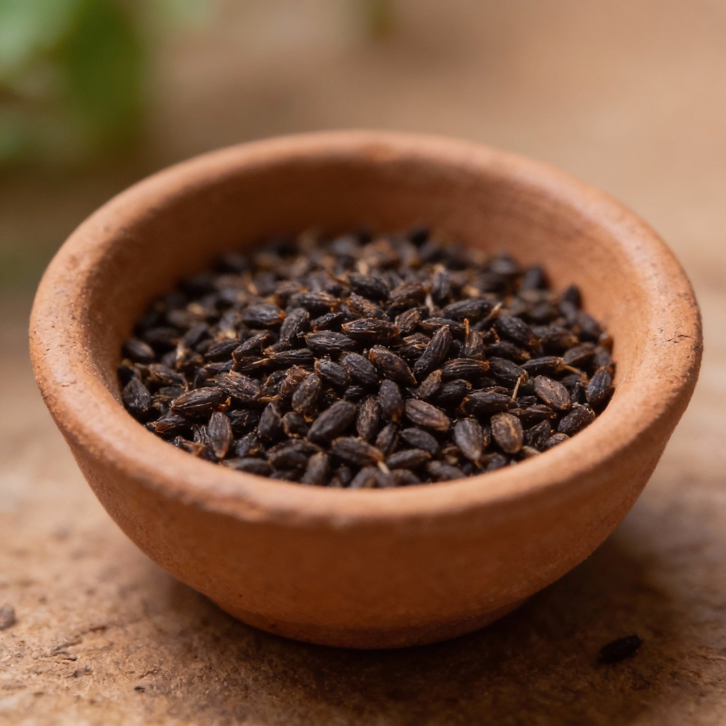 Chocolate Brown Cosmos Flower Seeds for Garden Planting