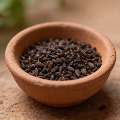 Chocolate Brown Cosmos Flower Seeds for Garden Planting