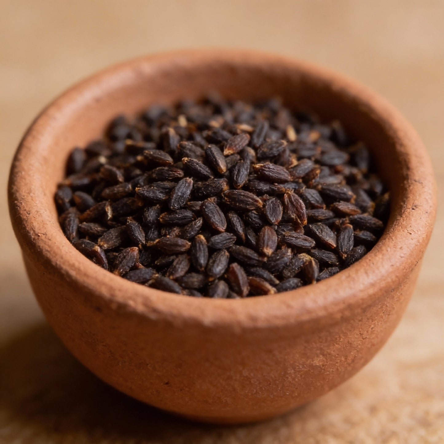 Blush Pink Lavender Seeds for Garden Planting