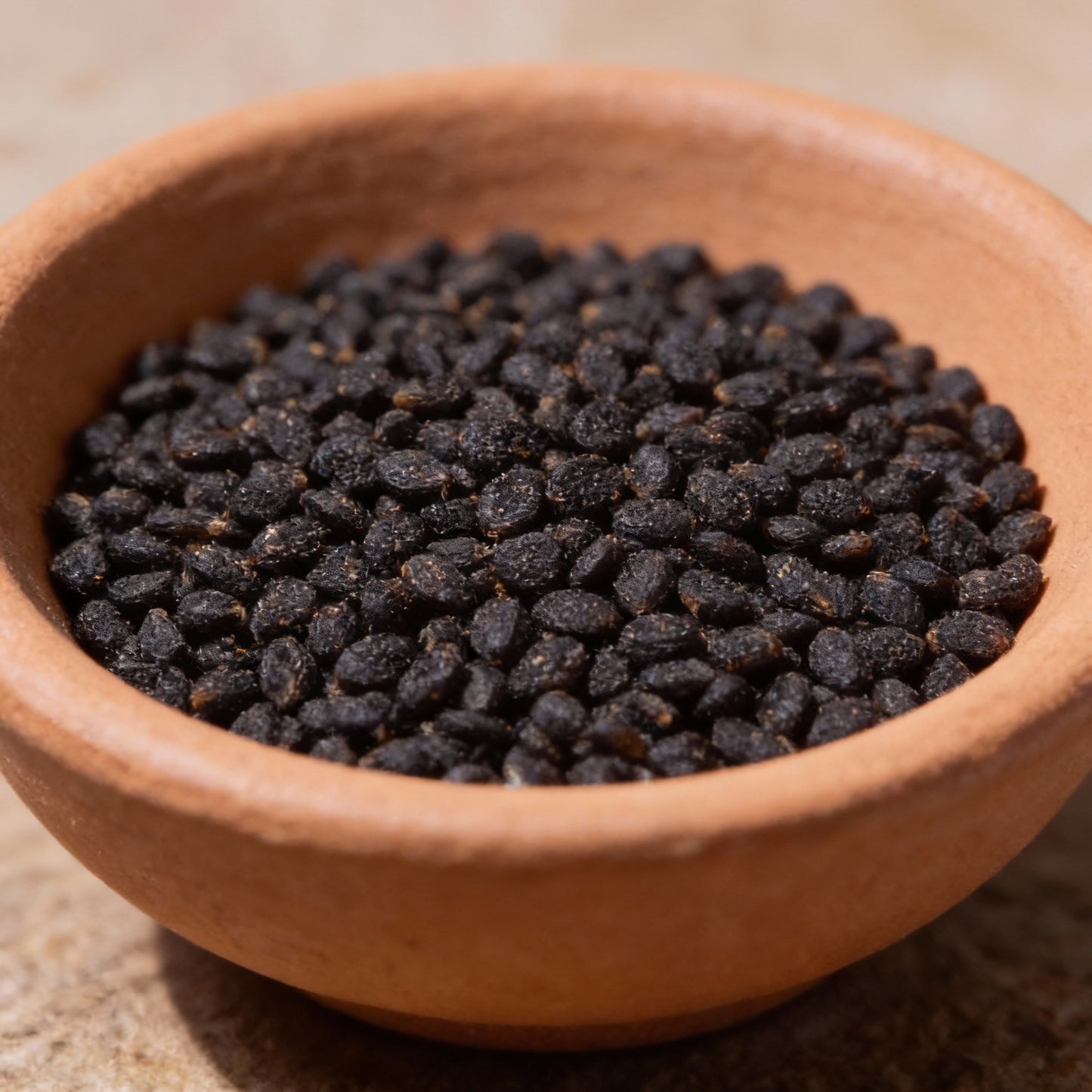 Crimson Clover Seeds for Garden Planting