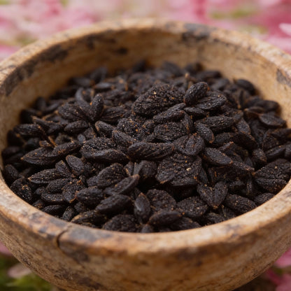 Salvia Say So Rose Flower Seeds for Garden Planting