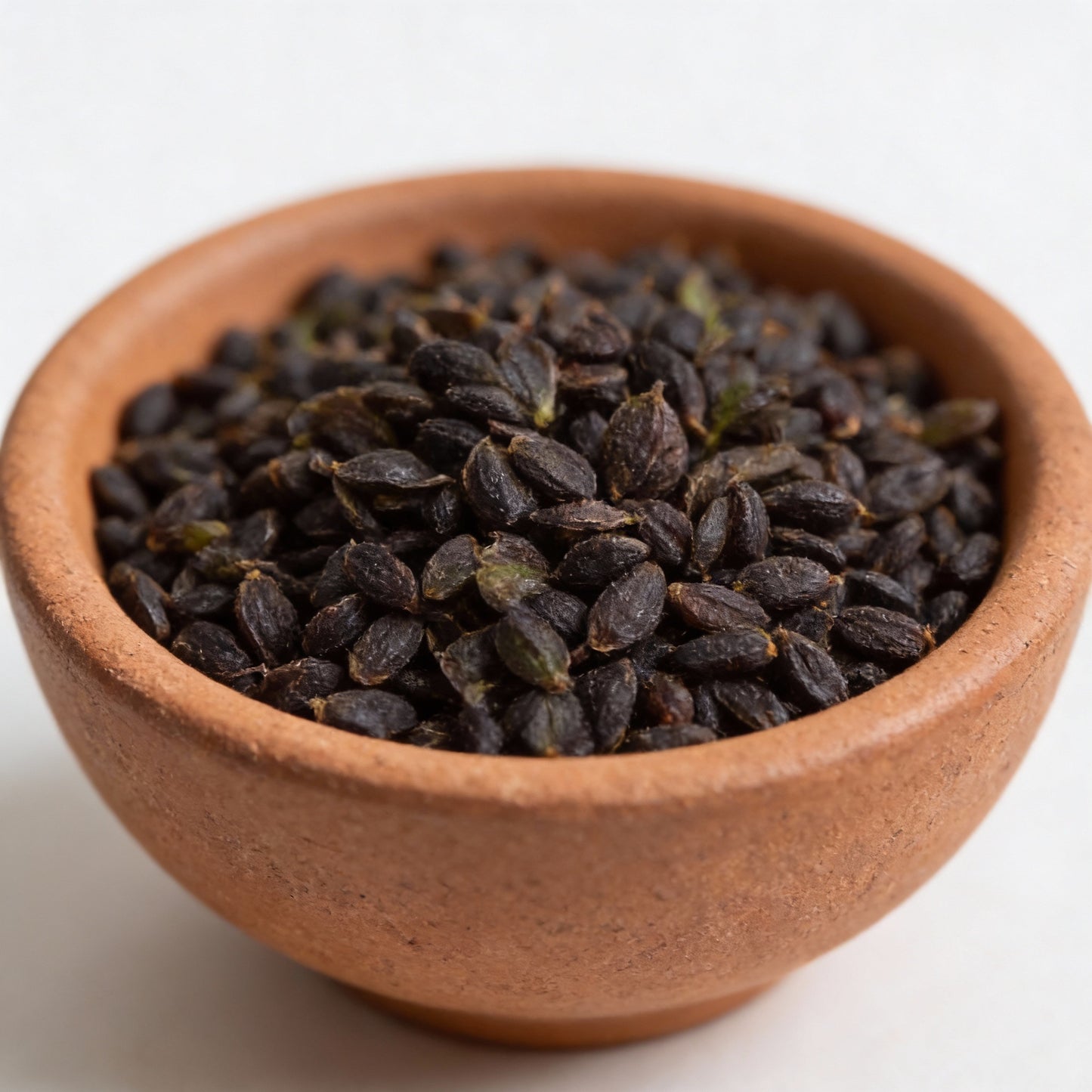 Patriot Hosta Seeds for Garden Planting