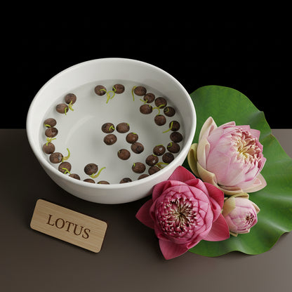 Mixed Bowl Lotus Seeds for Planting – Colorful Aquatic Blooms for Water Gardens