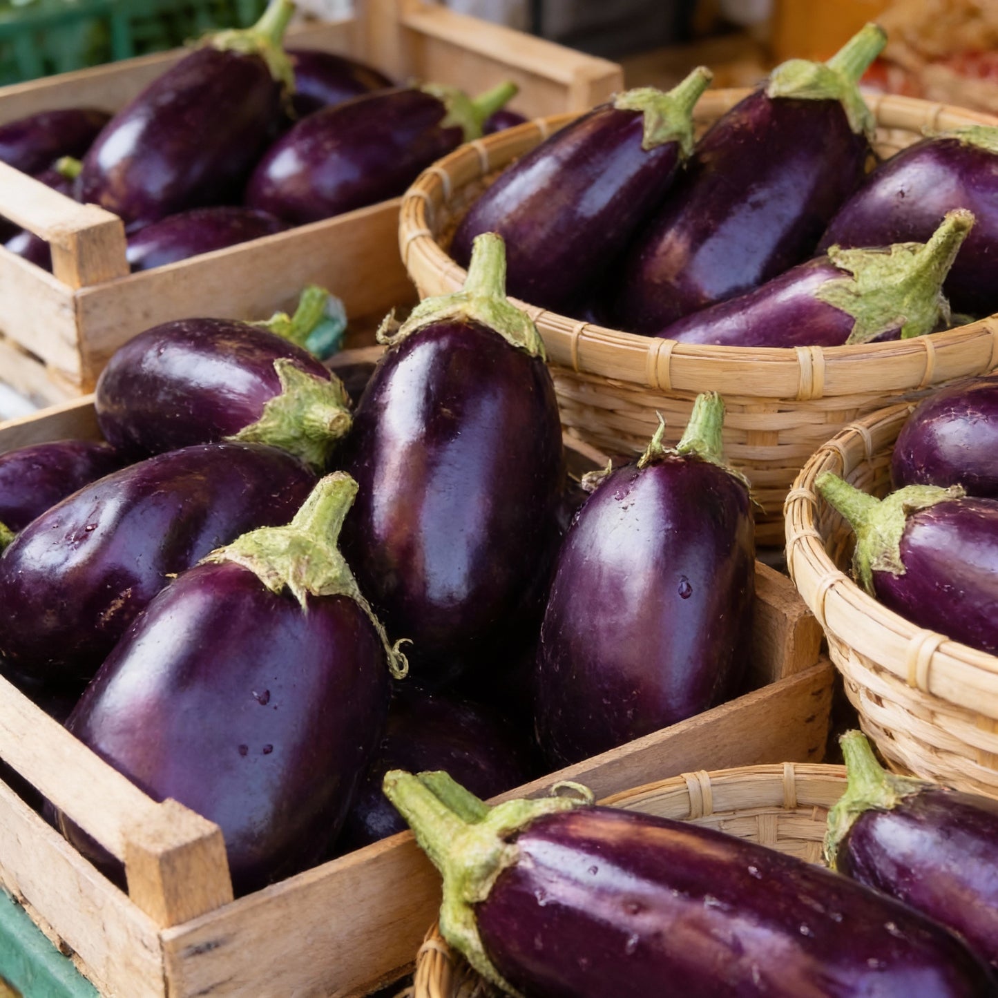 Aubergine Bonica F1 Hybrid Seeds for Planting – Vegetable Seeds
