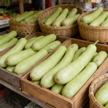 Cucuzzi Gourd Seeds for Planting – Italian Gourd Annual Self Pollinating Vegetable Garden Seeds