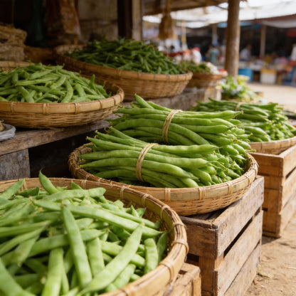 Asparagus Pea Seeds for Planting