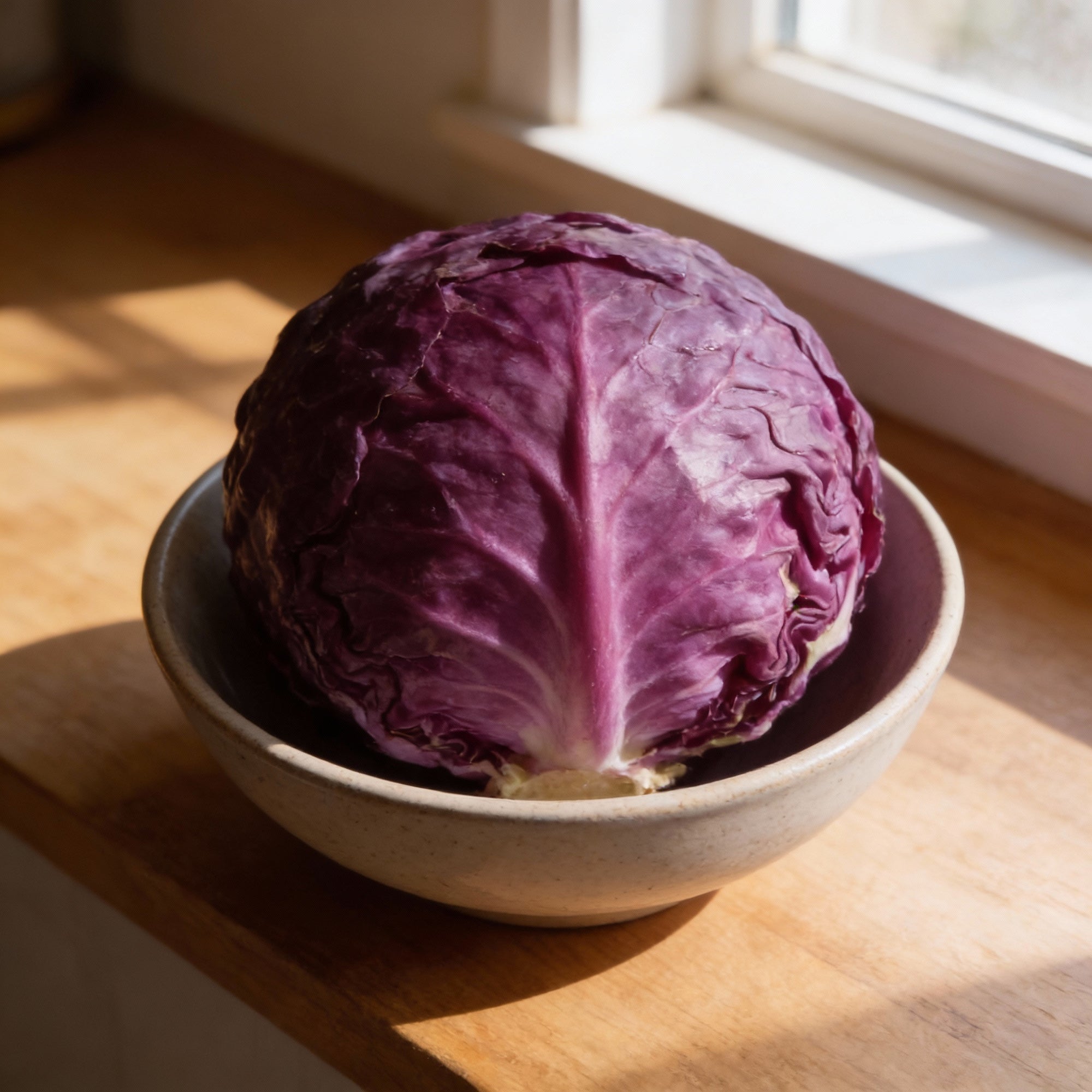 ole-timey-blue-collards-vegetable-seeds