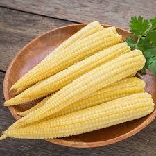 Hybrid Baby Corn Seeds for Planting – Sweet Tender Corn